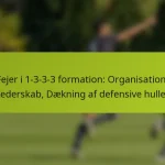 featured-image-fejer-i-1-3-3-3-formation-organisation-lederskab-daekning-af-defensive-huller