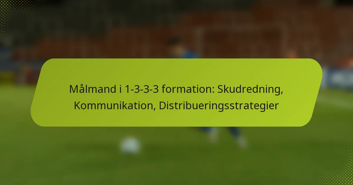 featured-image-malmand-i-1-3-3-3-formation-skudredning-kommunikation-distribueringsstrategier